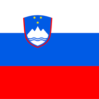 Онлайн-трансляция отборочного матча ЧМ-2022 Словения - Россия